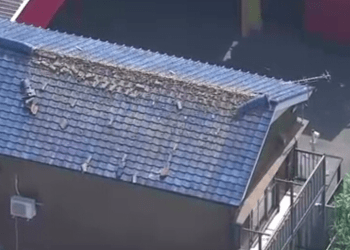 Terremoto de magnitude 5,2 atinge a província de Chiba