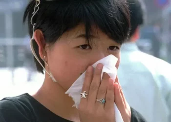 Japão elabora projeto de redução de pólen para diminuir casos de alergia