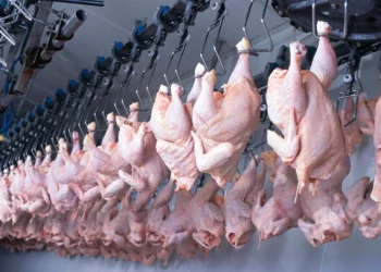 Japão suspende importações de carne de frango do Espírito Santo