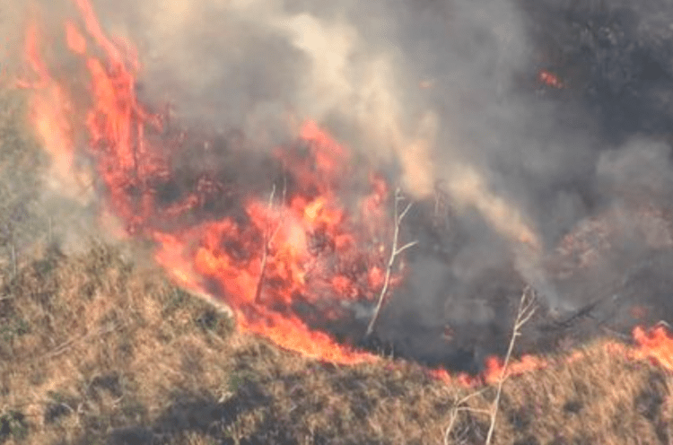 Bombeiros foram acionados para conter um incêndio florestal cidade de Kyotango, na província de Kyoto