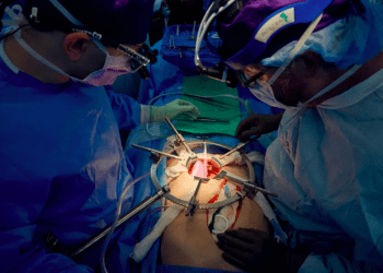 Homem com morte cerebral vive há mais de um mês com o rim de um porco