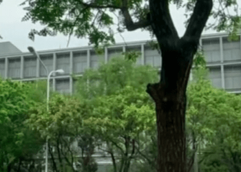 Pedaços de tijolos são jogados na Embaixada do Japão em Pequim