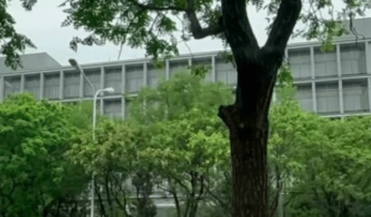 Pedaços de tijolos são jogados na Embaixada do Japão em Pequim