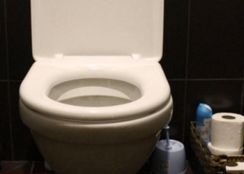 Mulher é presa por roubar assento sanitário de parque na província de Mie