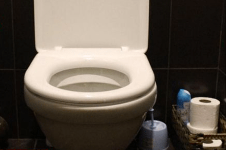 Mulher é presa por roubar assento sanitário de parque na província de Mie