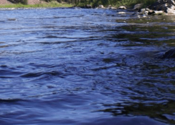 Homem morre afogado ao tentar salvar duas crianças do rio em Yamanashi