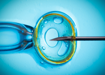 Hospital se recusa a oferecer tratamento de fertilização In Vitro em mulheres homoafetiva