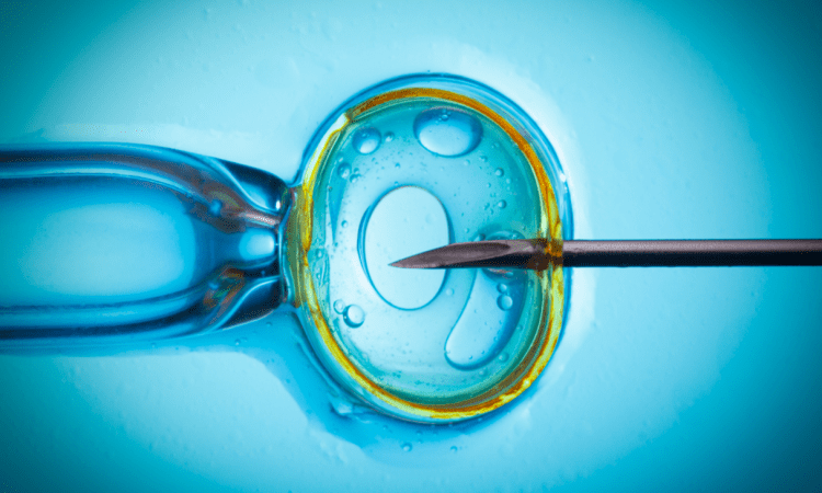 Hospital se recusa a oferecer tratamento de fertilização In Vitro em mulheres homoafetiva