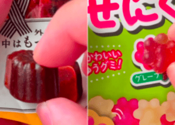 Comidas japonesas impressionam por exatidão com foto da embalagem