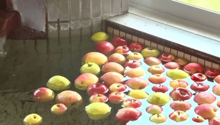 Spa no norte do Japão oferece “banho de maçãs”