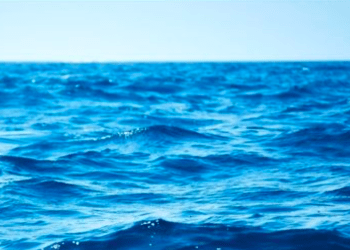 Corpo de brasileiro desaparecido é encontrado em mar de Kobe