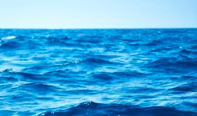 Corpo de brasileiro desaparecido é encontrado em mar de Kobe