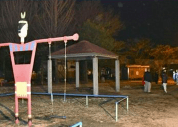 Cachorro sem coleira ataca e fere 12 pessoas em parque de Isesaki