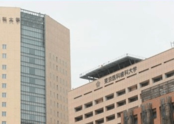 Pesquisadores japoneses são os primeiros no mundo a criar placentas humanas em miniatura