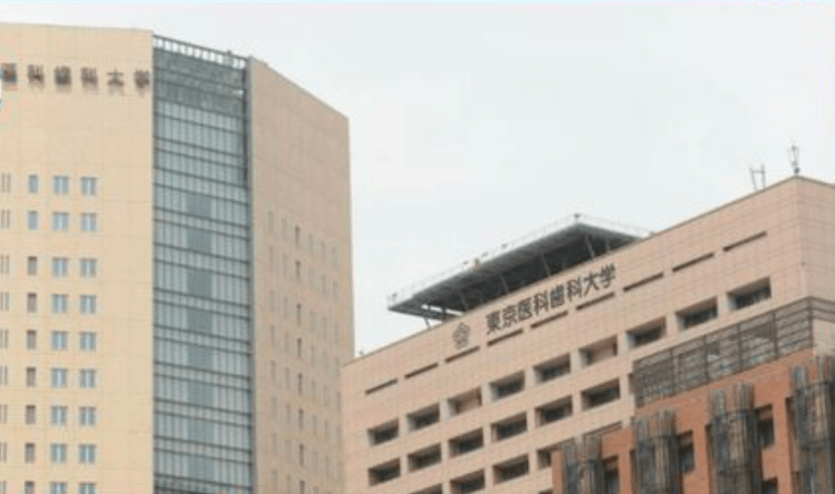 Pesquisadores japoneses são os primeiros no mundo a criar placentas humanas em miniatura