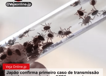 Japão confirma primeiro caso de transmissão entre humanos do vírus SFTS, causado por carrapatos