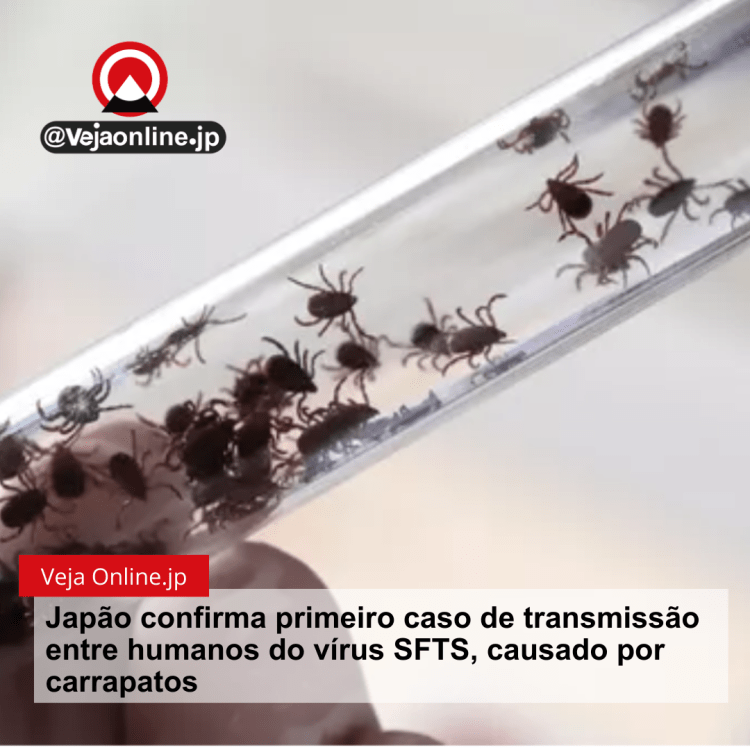 Japão confirma primeiro caso de transmissão entre humanos do vírus SFTS, causado por carrapatos