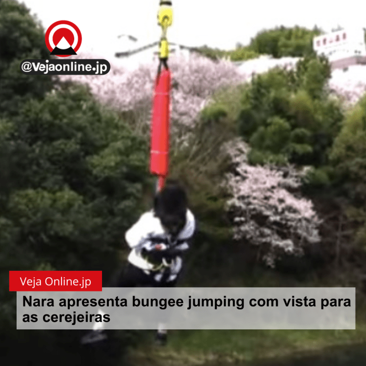 Nara apresenta bungee jumping com vista para as cerejeiras