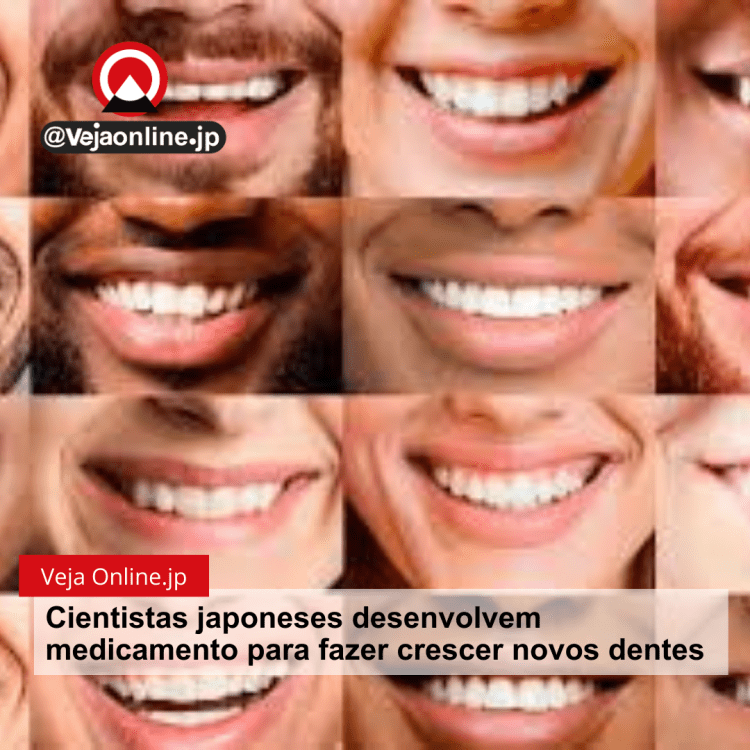 Cientistas japoneses desenvolvem medicamento para fazer crescer novos dentes