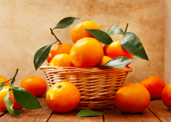 Tangerinas Mikan registram o maior preço em 5 anos no Japão