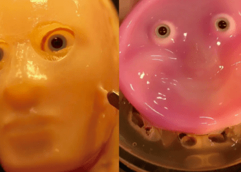 Laboratório japonês cria robô com pele humana cultivada