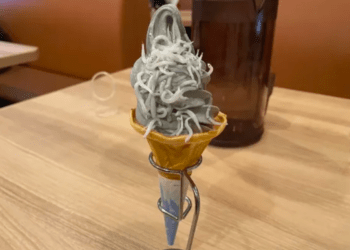 Sorvete com Shirasu vira atração turística no Japão