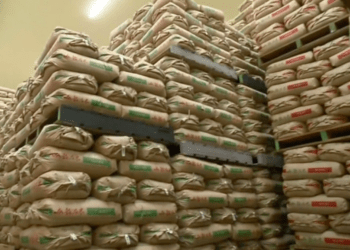 Governo do Japão inicia segundo leilão de reservas de arroz