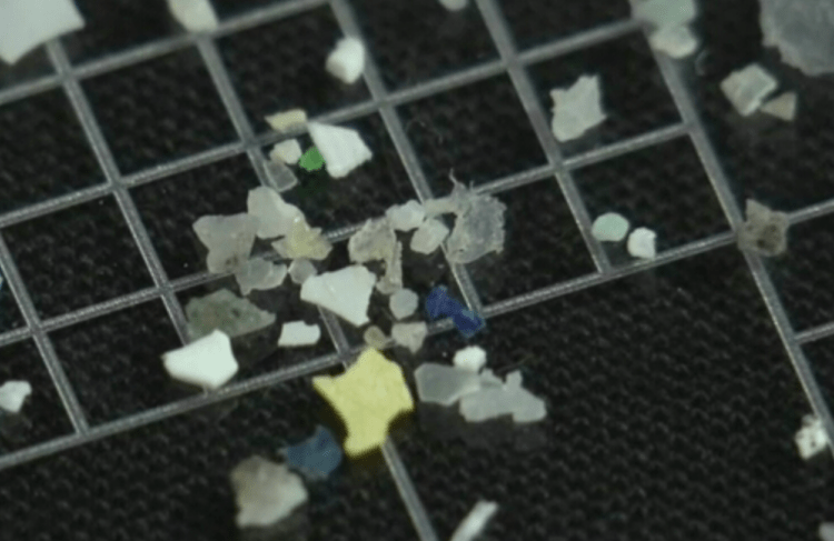 Microplásticos estão espalhados da superfície às profundezas do oceano, diz grupo de pesquisa