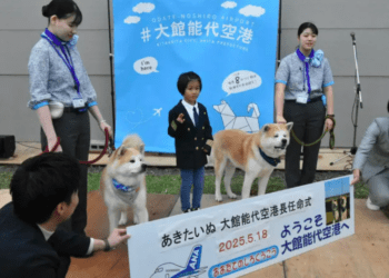 Irmãos da raça Akita são nomeados diretores do aeroporto de Odate-Noshiro