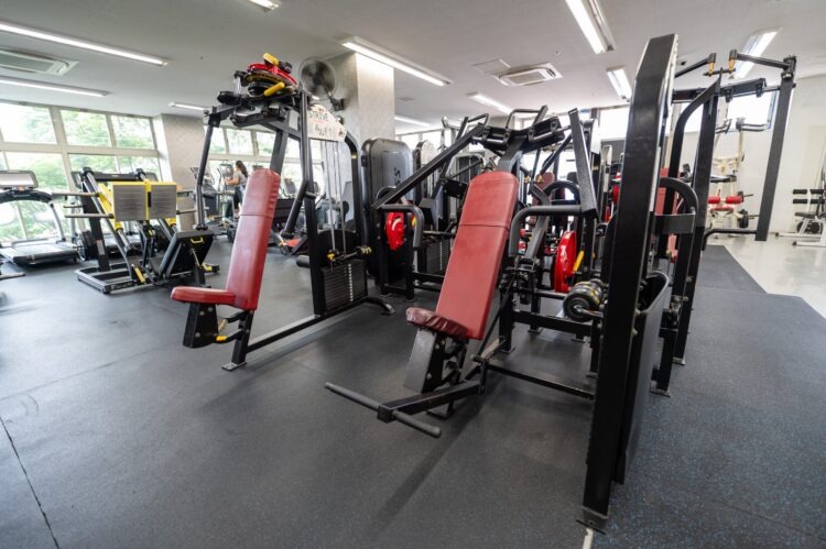 Academia Elos inaugura novo centro de treinamento de artes marciais em Toyota