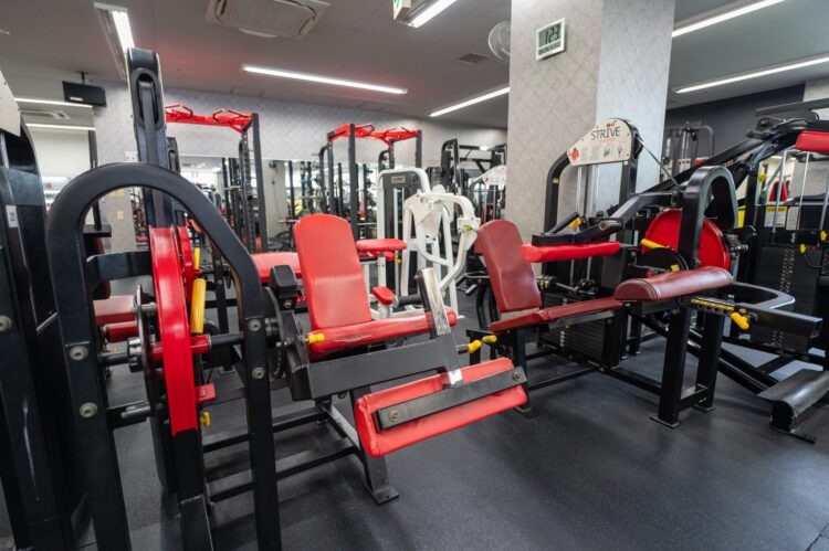 Academia Elos inaugura novo centro de treinamento de artes marciais em Toyota