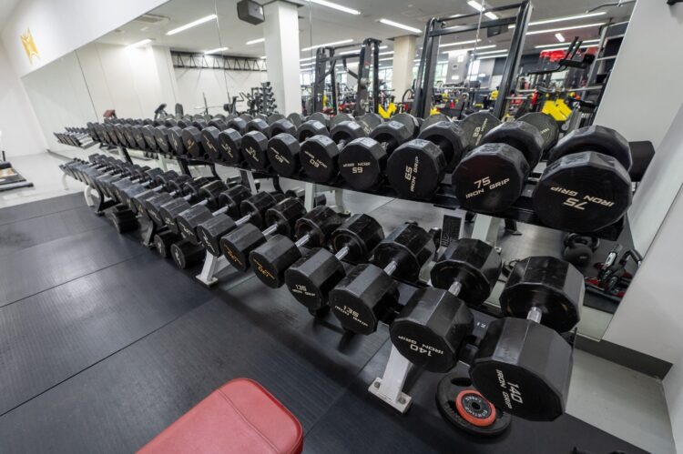 Academia Elos inaugura novo centro de treinamento de artes marciais em Toyota