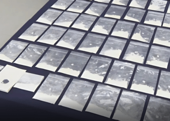 Brasileira é presa por tentar entrar no país com cocaína