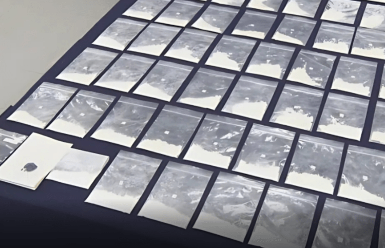 Brasileira é presa por tentar entrar no país com cocaína