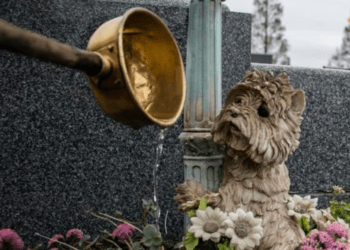 Cresce a procura por funerais pets no Japão