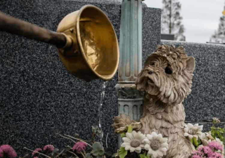 Cresce a procura por funerais pets no Japão