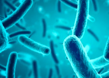 Empresa japonesa oferece remuneração por amostras de fezes para pesquisa médica