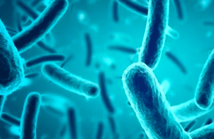 Empresa japonesa oferece remuneração por amostras de fezes para pesquisa médica