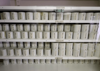 Ossário das vítimas da bomba atômica é aberto pela primeira vez em 10 anos