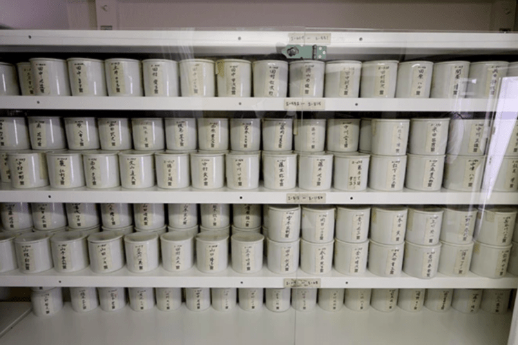 Ossário das vítimas da bomba atômica é aberto pela primeira vez em 10 anos