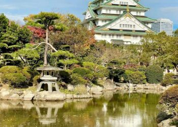 Morte em massa de peixes no fosso do Castelo de Osaka
