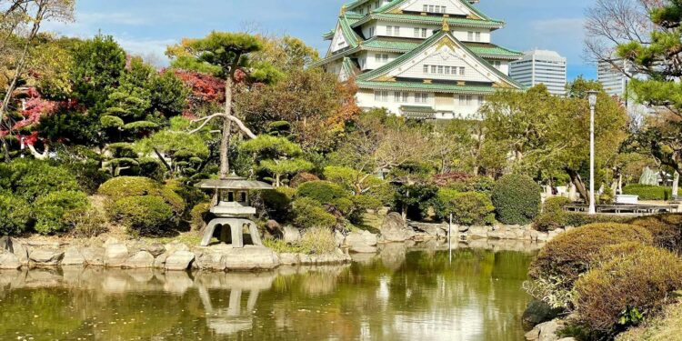 Morte em massa de peixes no fosso do Castelo de Osaka