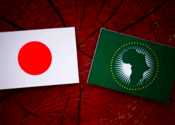 Japão designa cidades “natais” para países africanos durante TICAD 2025