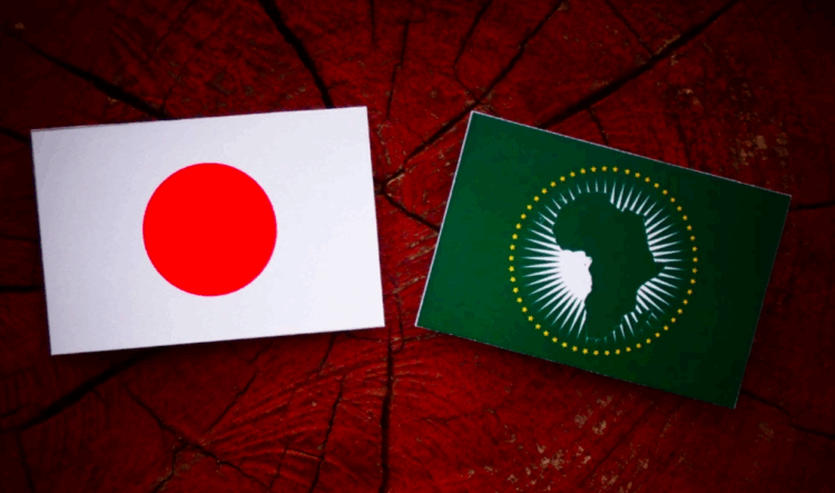 Japão designa cidades “natais” para países africanos durante TICAD 2025