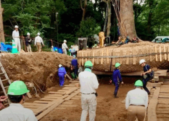 Japão trata árvores com profundo respeito