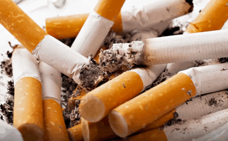 Especialistas defendem proibição global de filtros de cigarro por riscos à saúde e ao meio ambiente