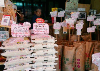 Inflação do Japão desacelera em agosto, mas preços do arroz pressionam governo