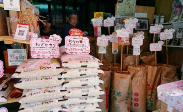 Inflação do Japão desacelera em agosto, mas preços do arroz pressionam governo