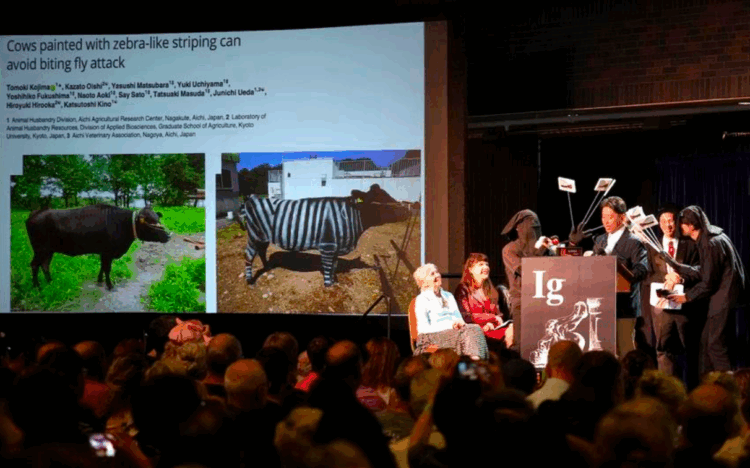 Pesquisas inusitadas ganham o Prêmio Ig Nobel 2025 em Boston