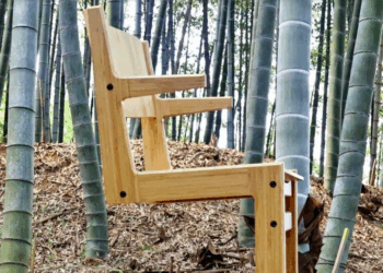 Do problema ambiental à inovação global: Japão transforma bambu em solução sustentável